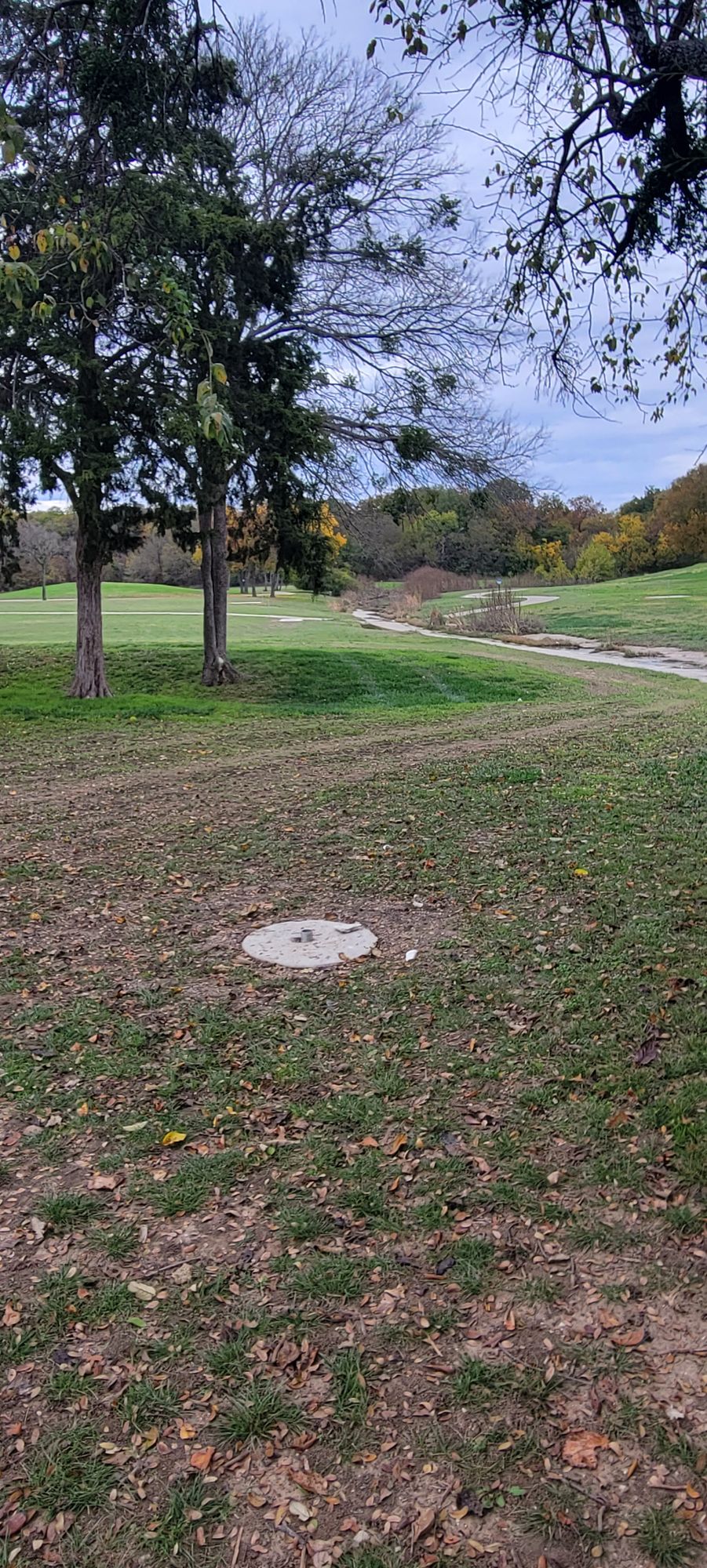 Hole 17 from the basket