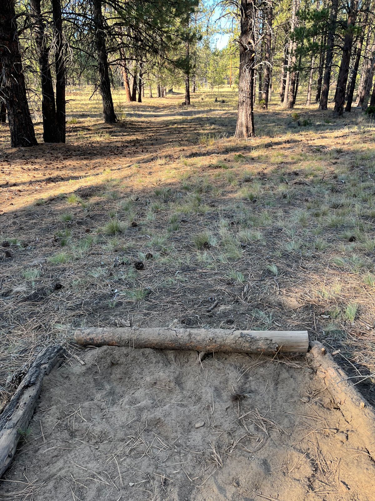 Tee box 18