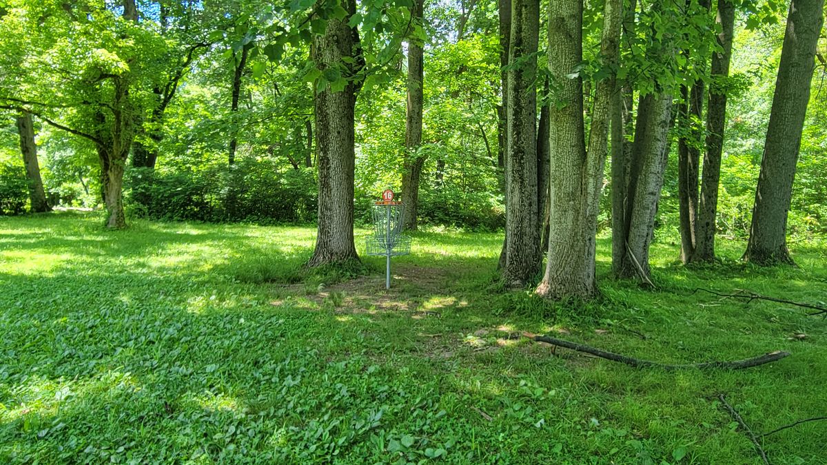 Hole 16 B Pin