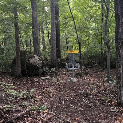 Basket on Hole 6