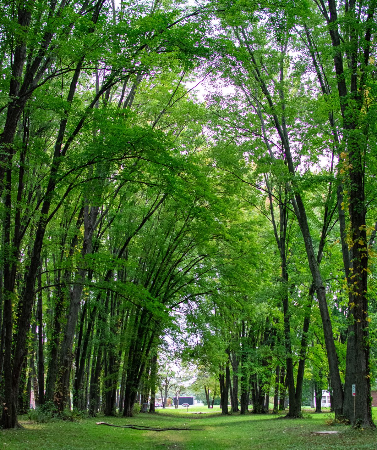 This is my favorite spot on the course.  While you’re walking to #1 from your car on the path!
