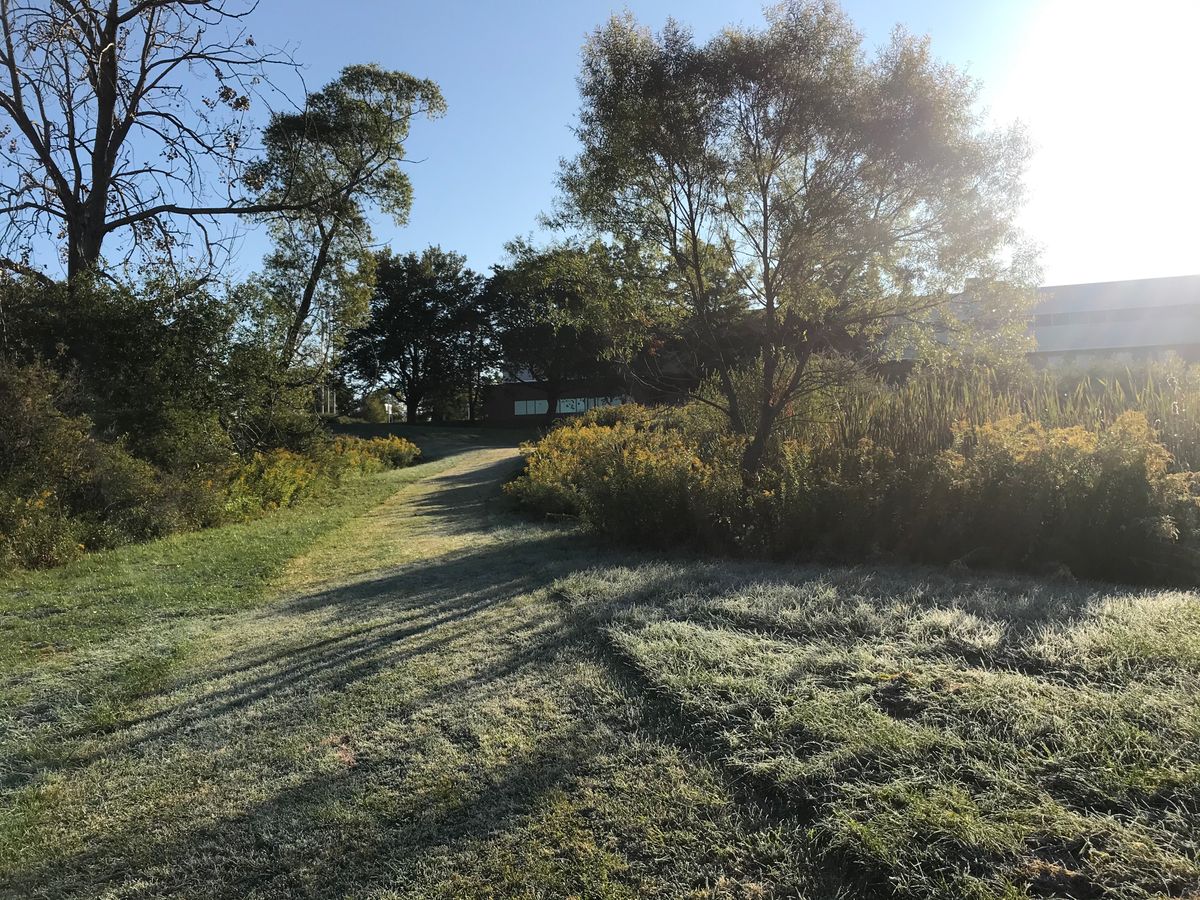 Hole 2 second fairway towards basket.
