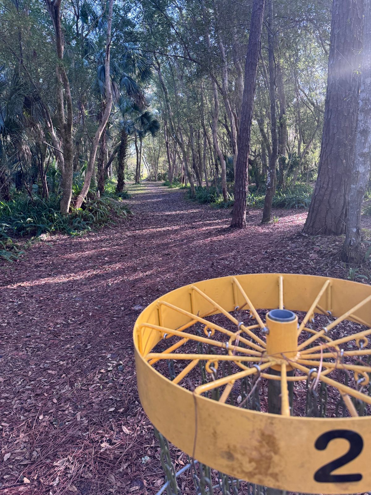 Hole 2 - Gold Position