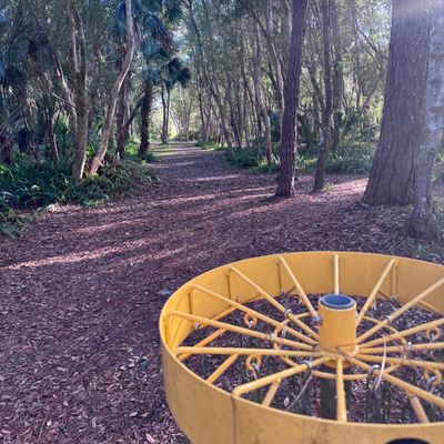 Hole 2 - Gold Position