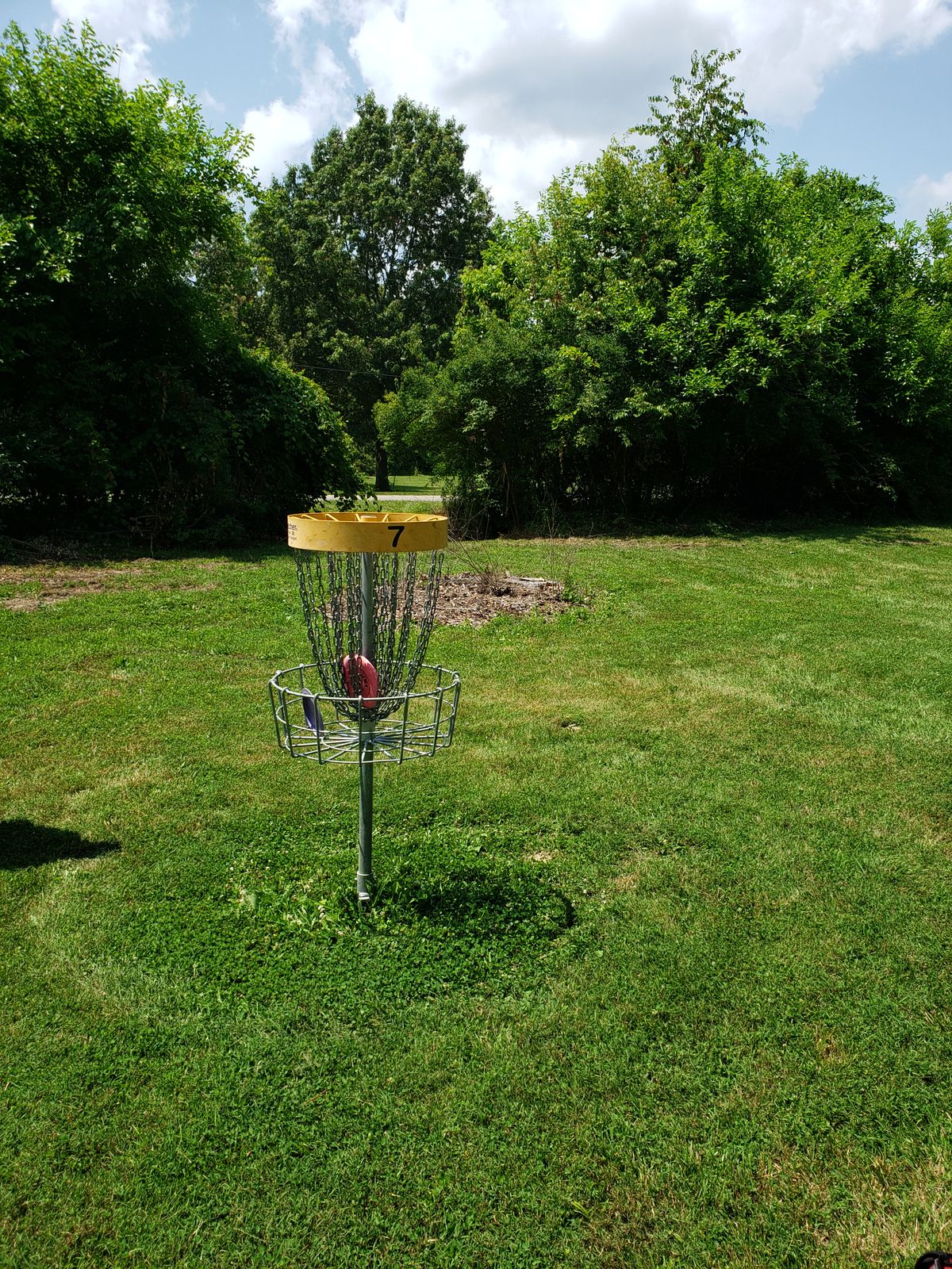 #7 Basket, path to road in background.