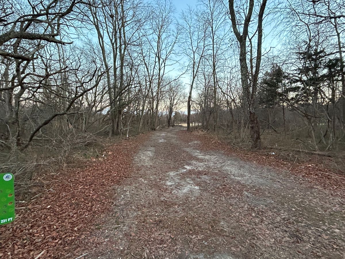 Left to right fairway of hole 2