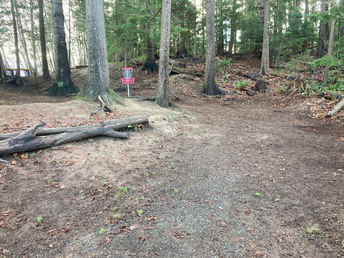 Hole 11 Basket