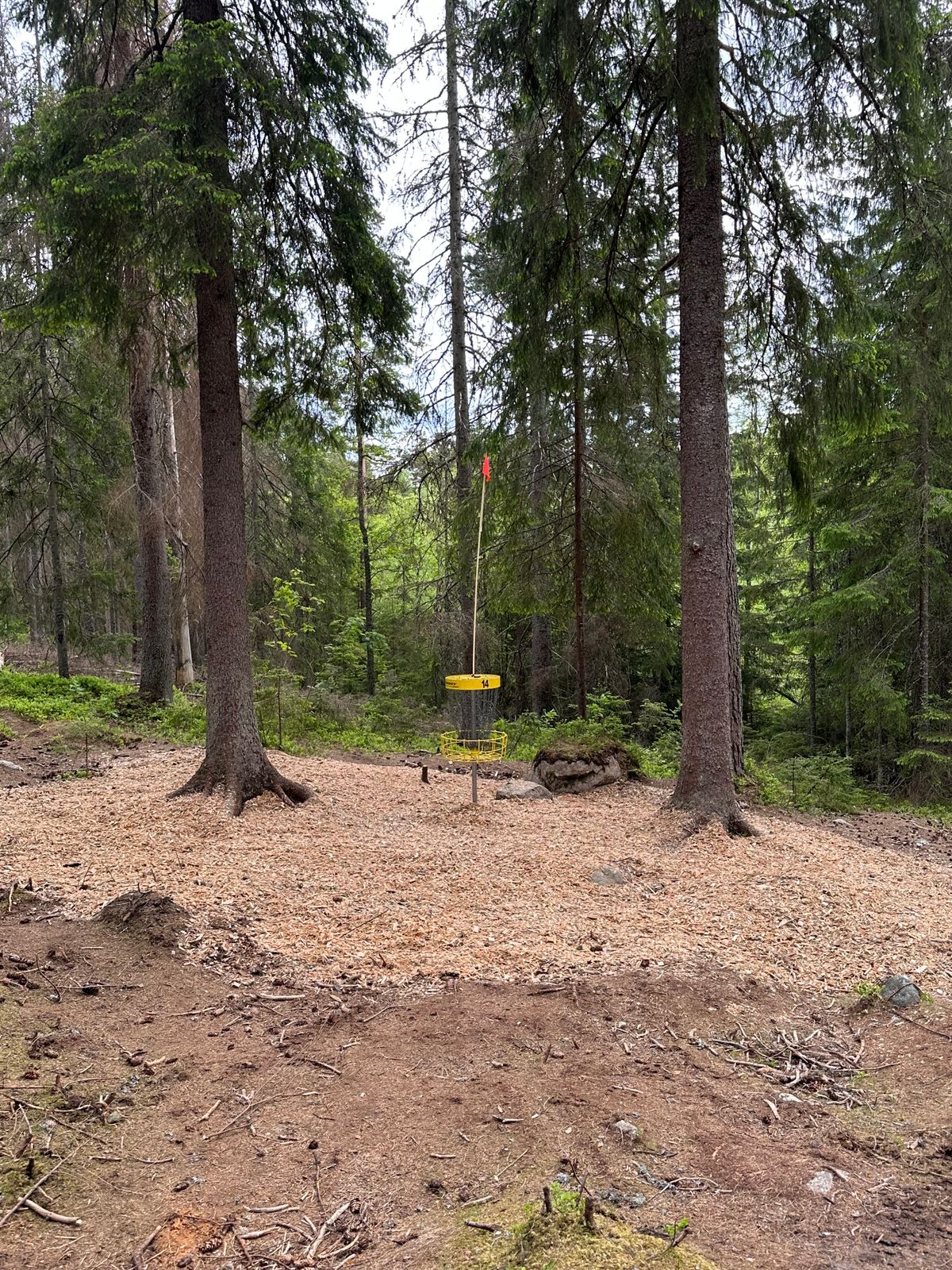 Hål 14