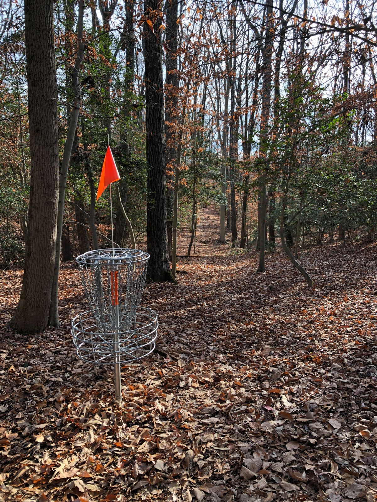 Hole 11 basket (looking down gap toward fairway)