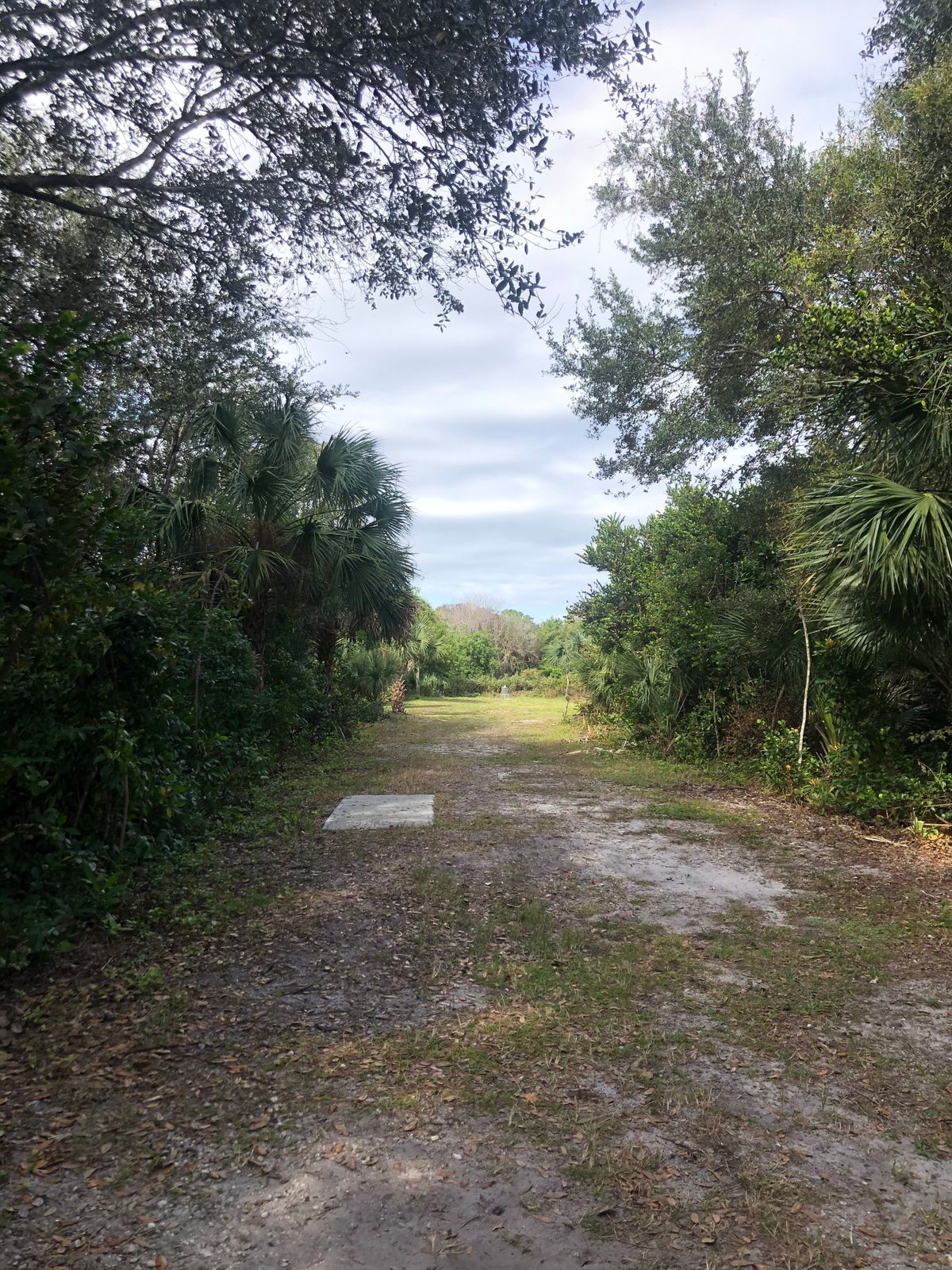 Hole 6
