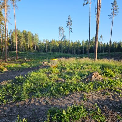 Local authorities doing clear cutting and forest management.