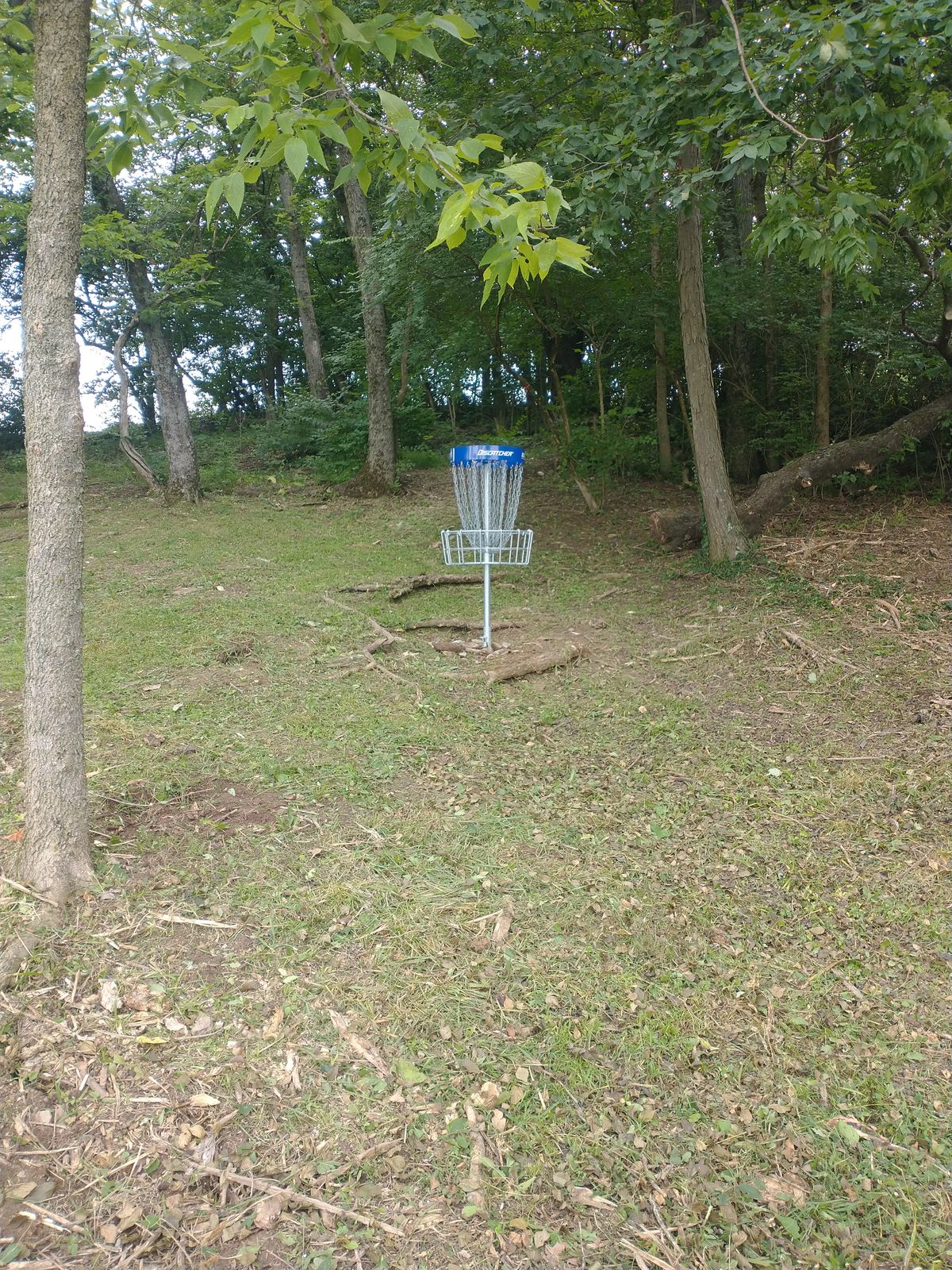 14 Blue Basket