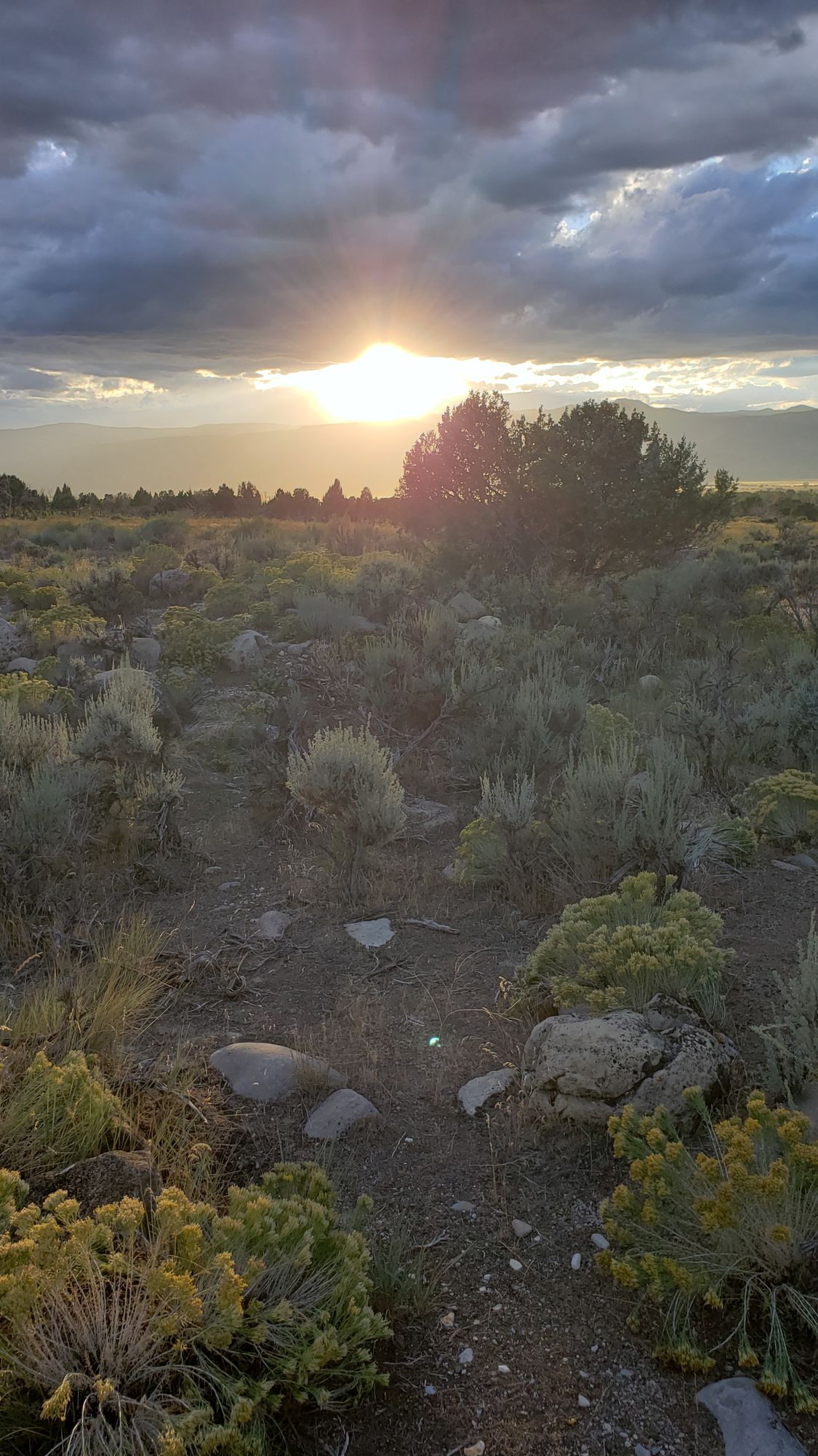 Beautiful Sunset Round