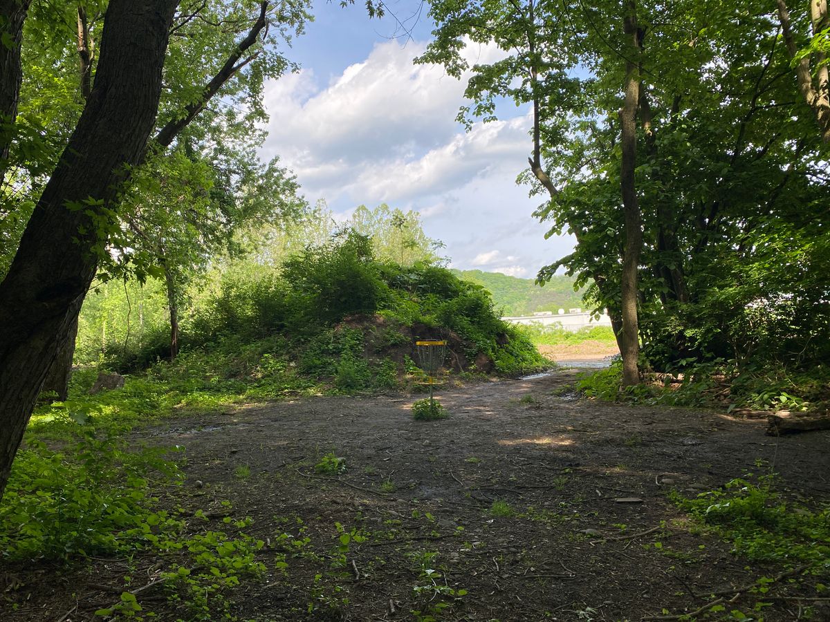 Hole 11 basket