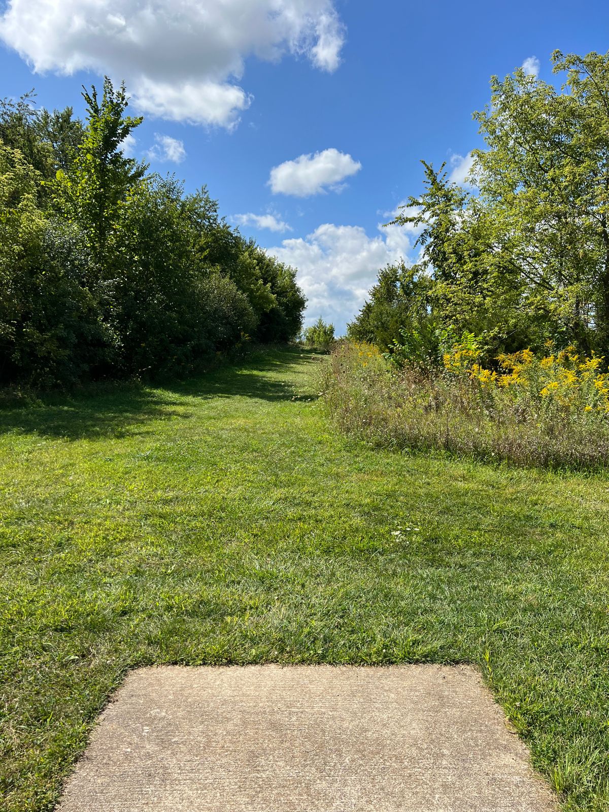 Hole 7