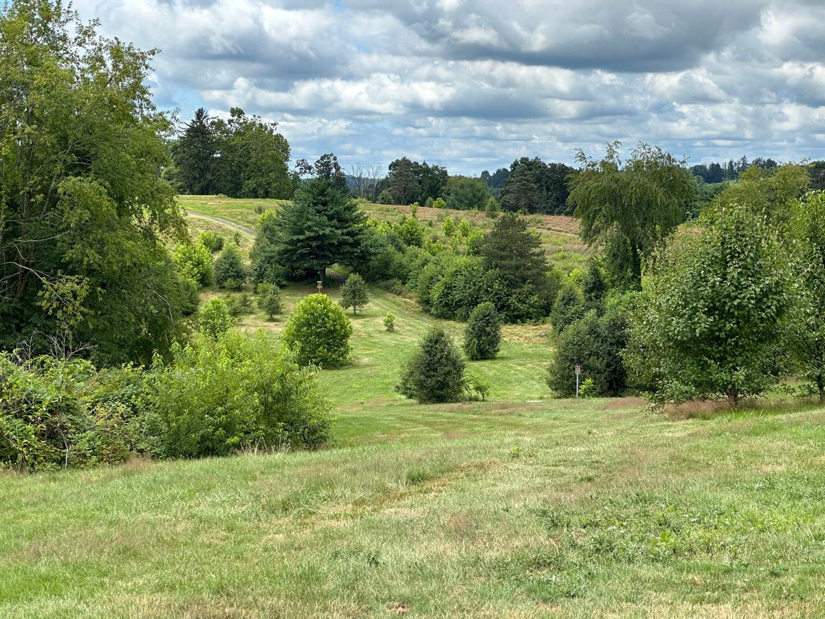 Hole 18 white