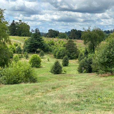 Hole 18 white