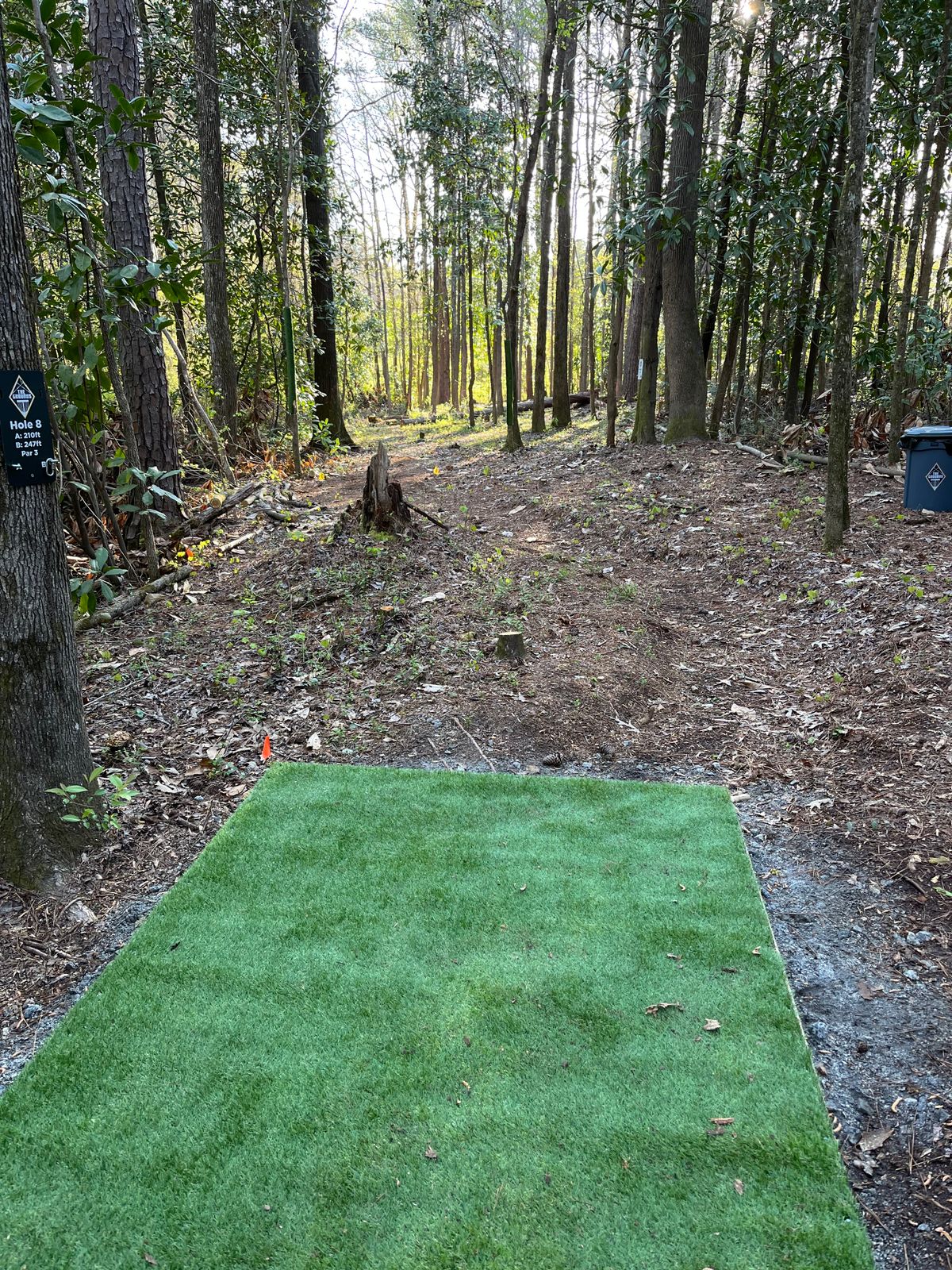 Hole 8 long pad