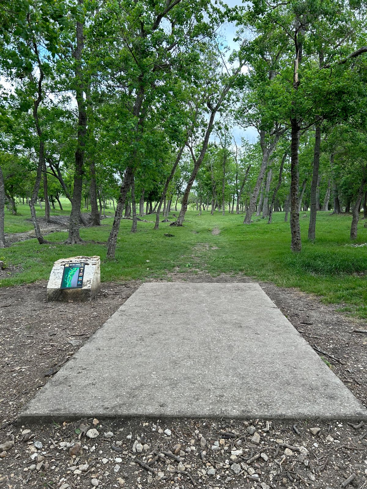 6th tee from shorts
