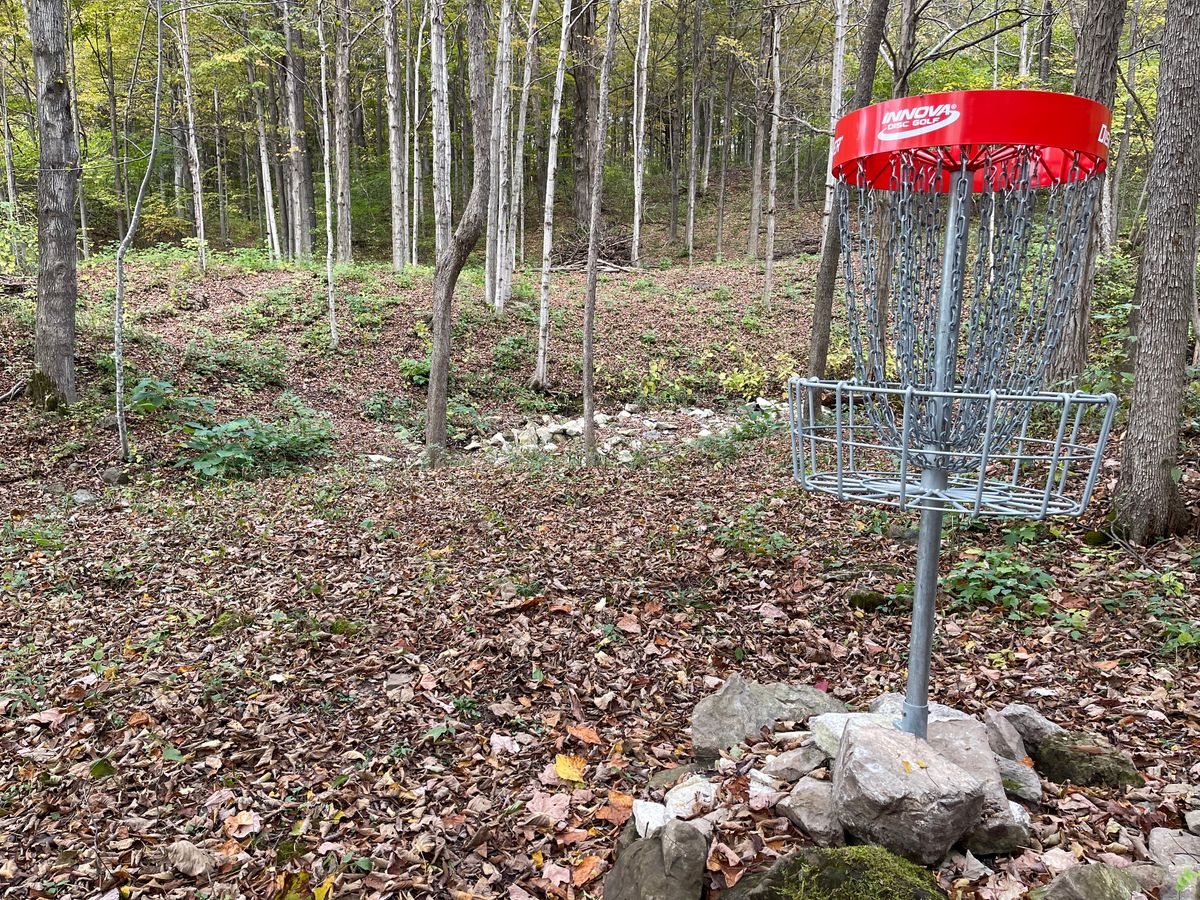 A Basket to Tee