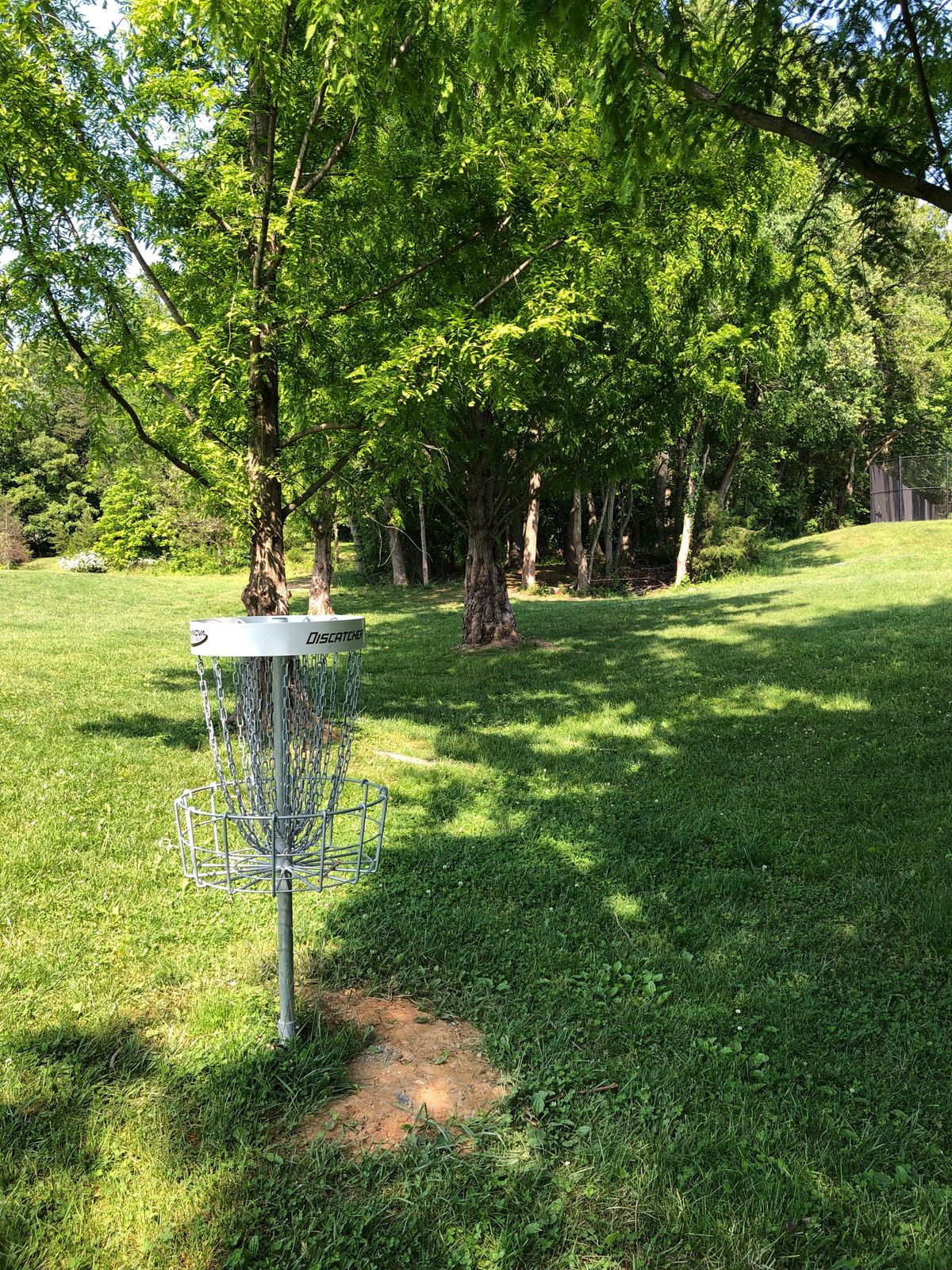 Hole 1 basket (from behind)