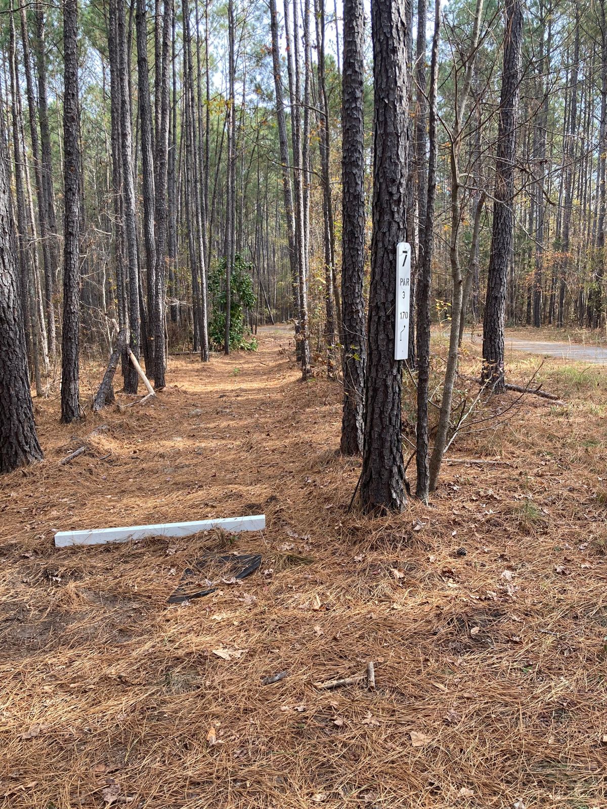 Hole 7, Tee Box, 170’ tunnel shot bending to the Right across the path, watch for walkers.