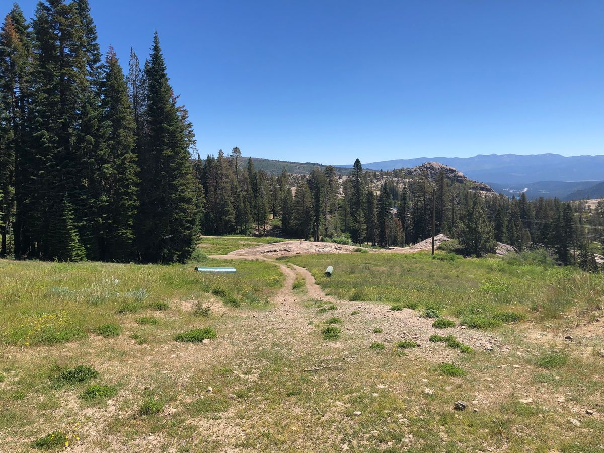 Course view