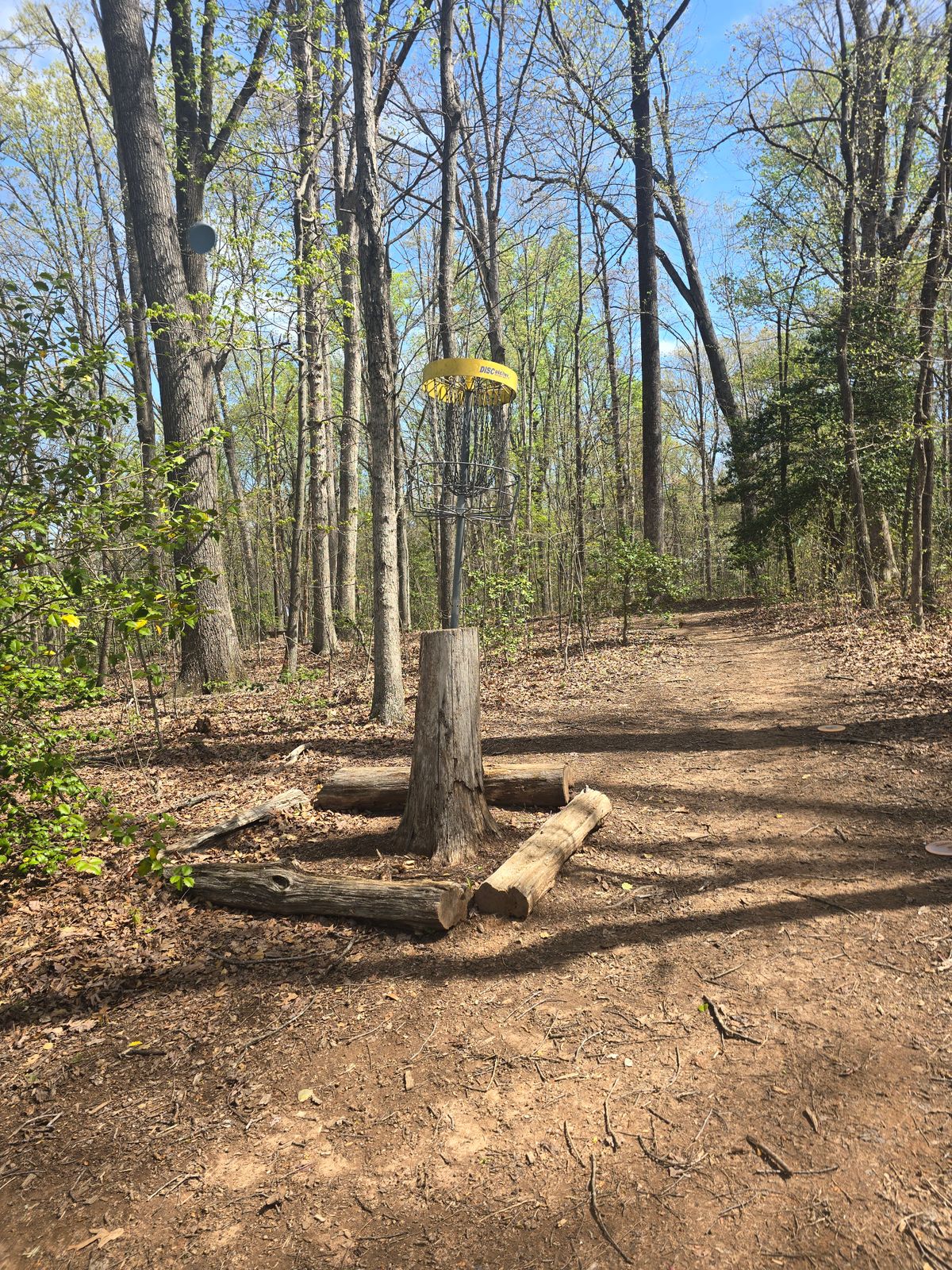 Hole 4 Basket