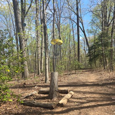 Hole 4 Basket
