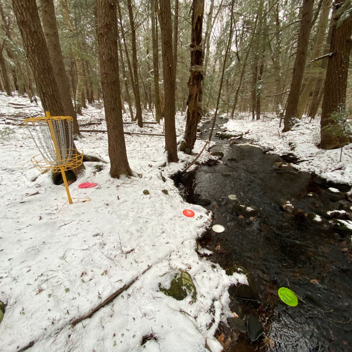 Hole 4 - Commit to your shot.