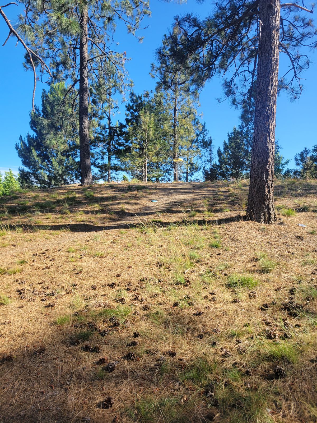 Hole 4