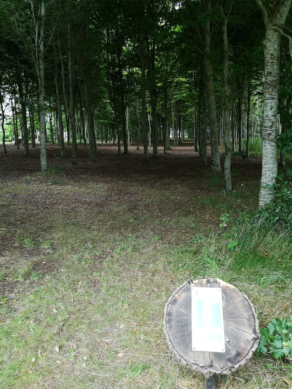 View from White Tee Hole 5