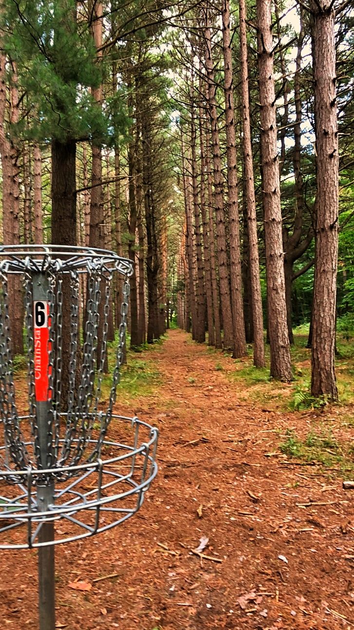 Hole 6