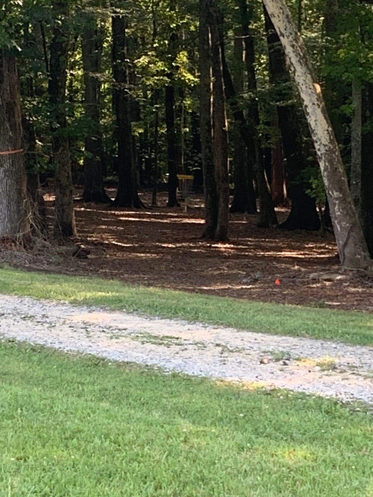 Hole 1 Landing Zone. 