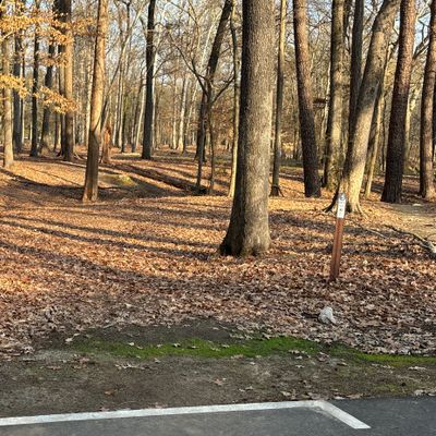 Hole 5