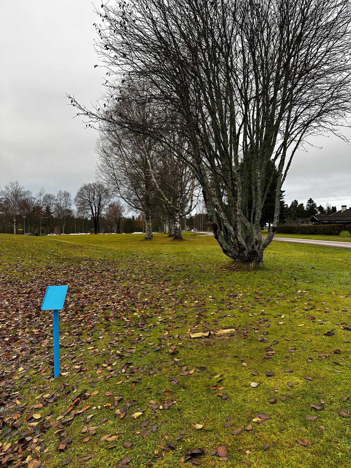 Tee 9