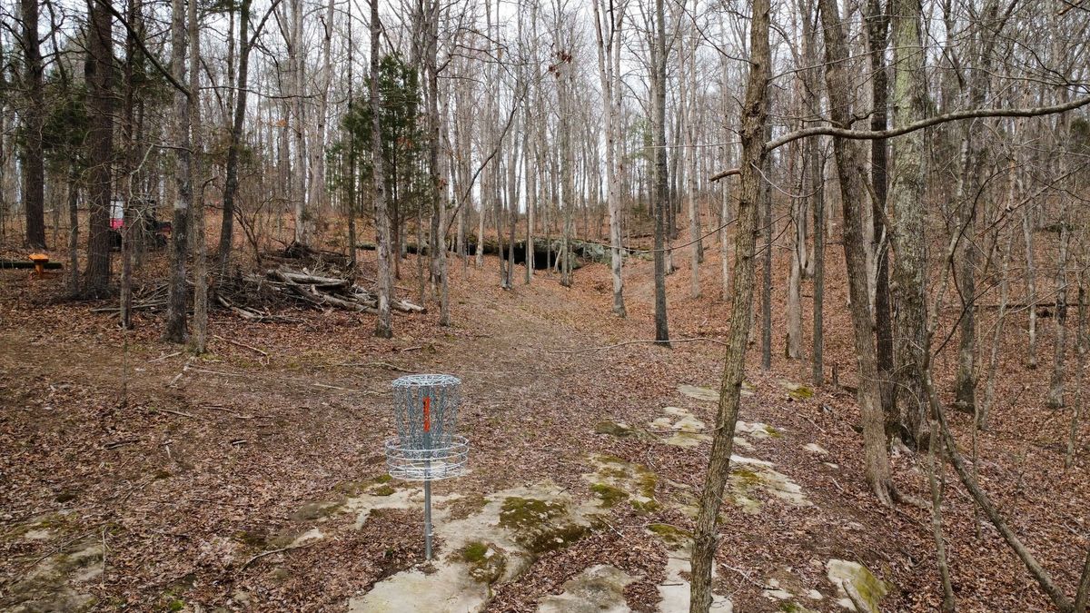 Hole 3 basket to tee