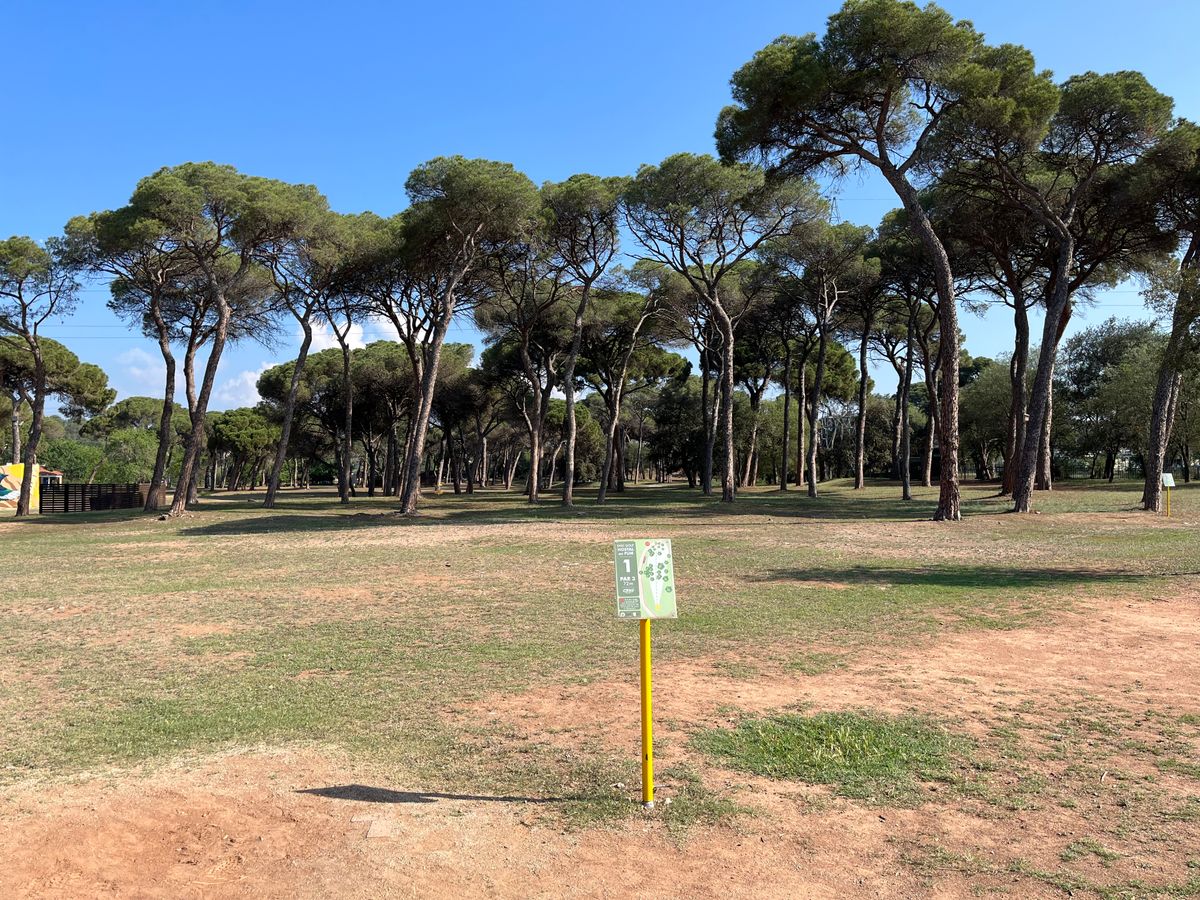 Tee 1