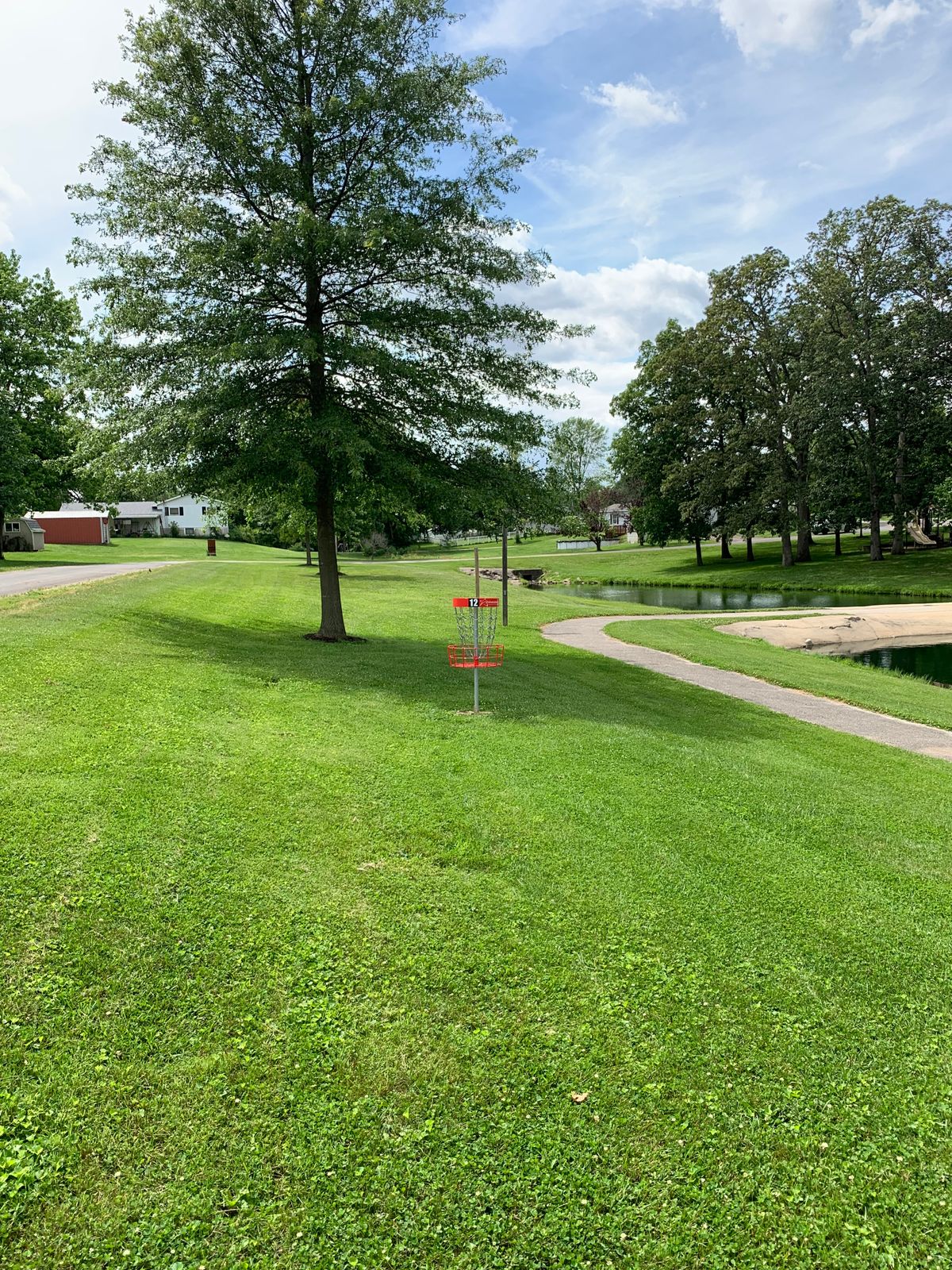 Hole 12 basket