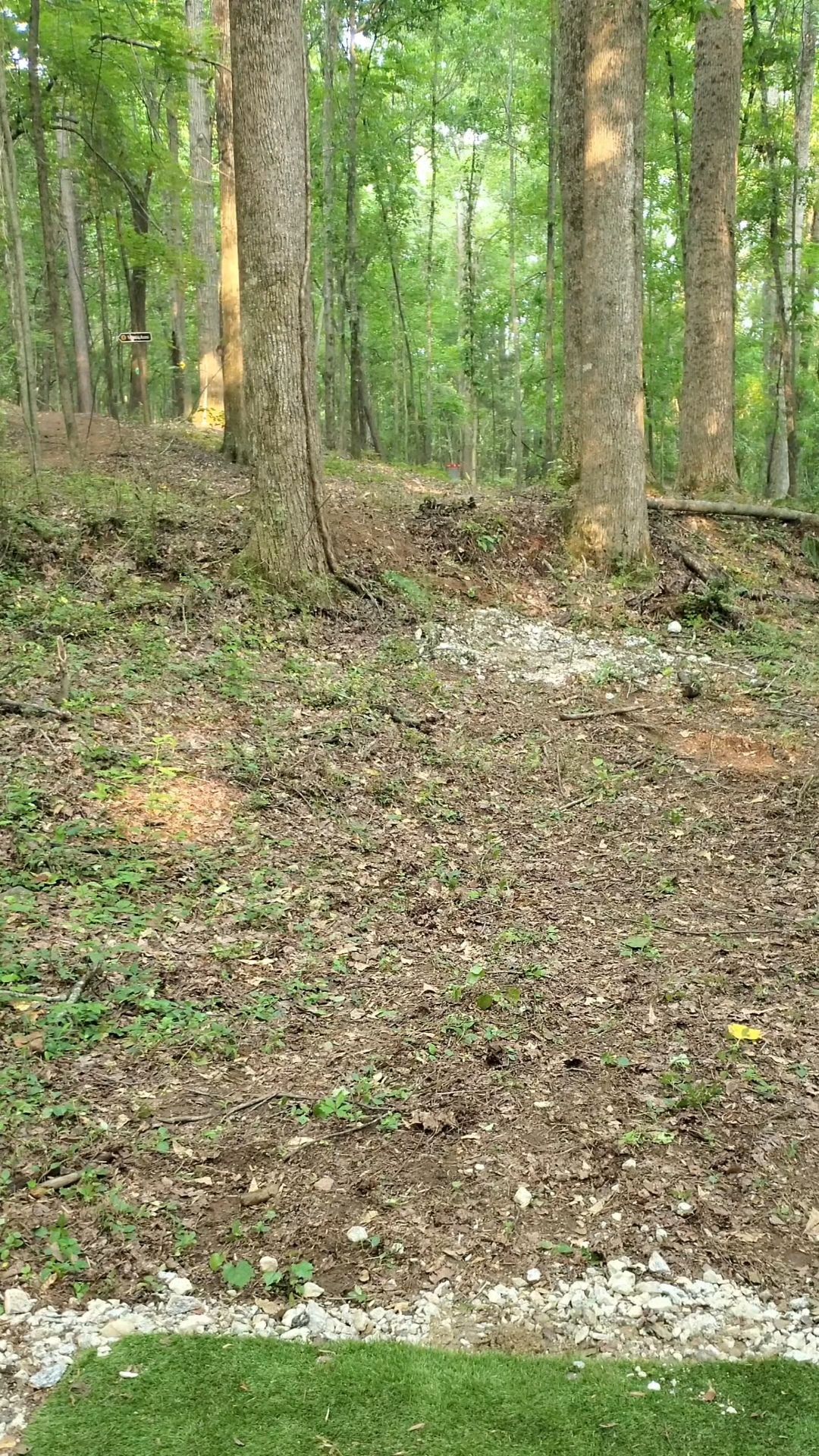 Hole 11