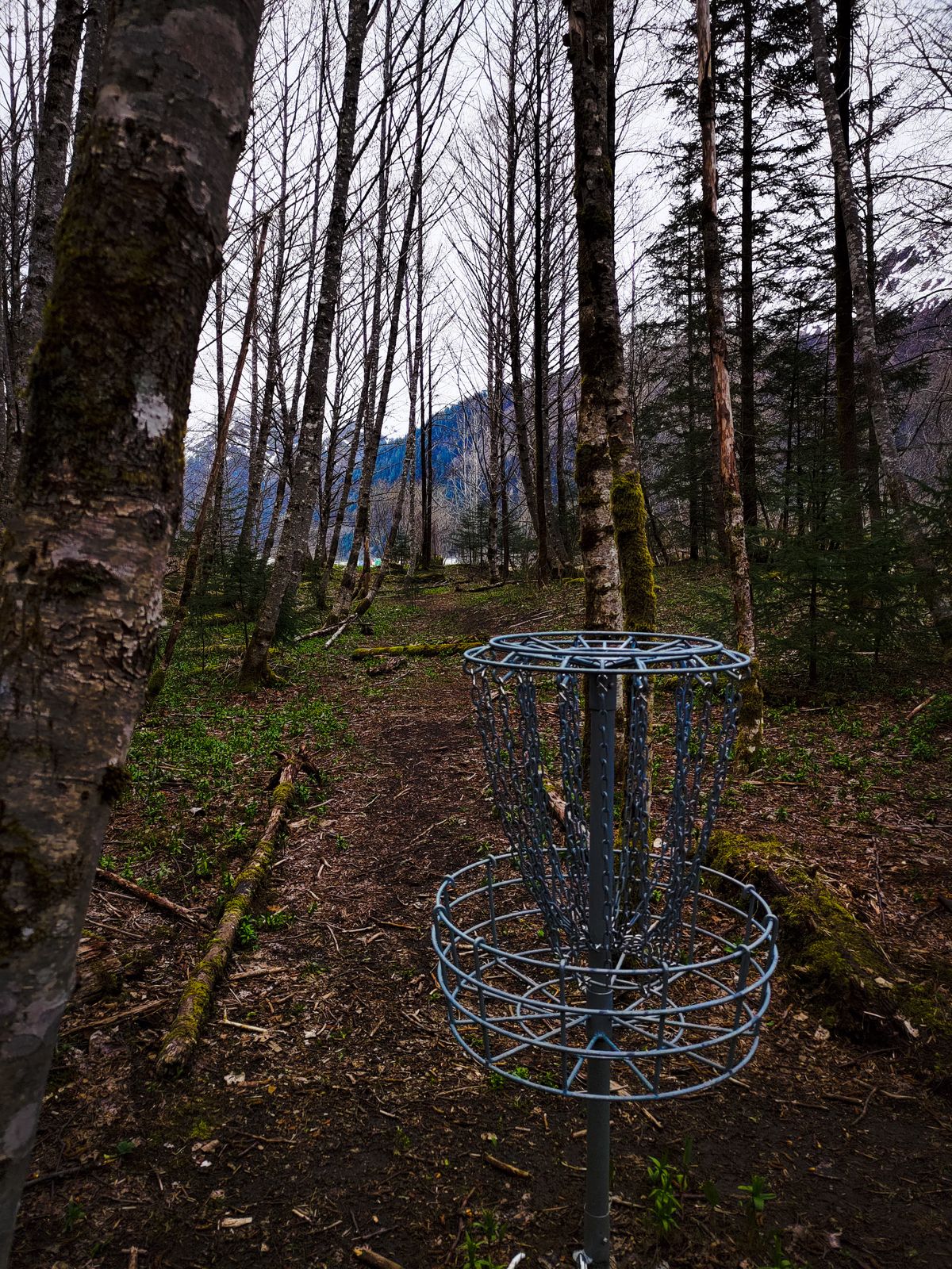 From the basket of Hole 5