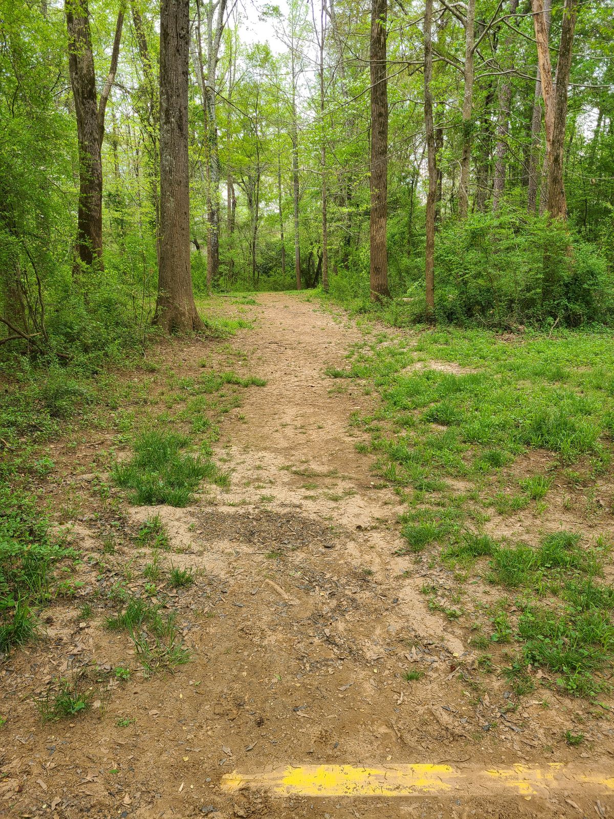 Hole 7 from tee