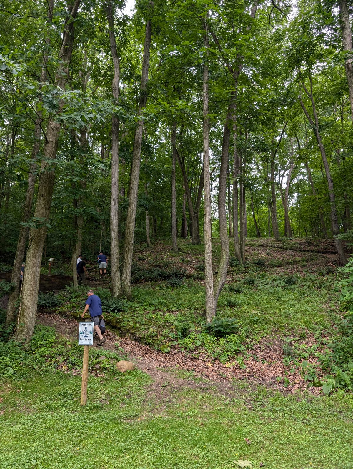 Looking up to hole 2