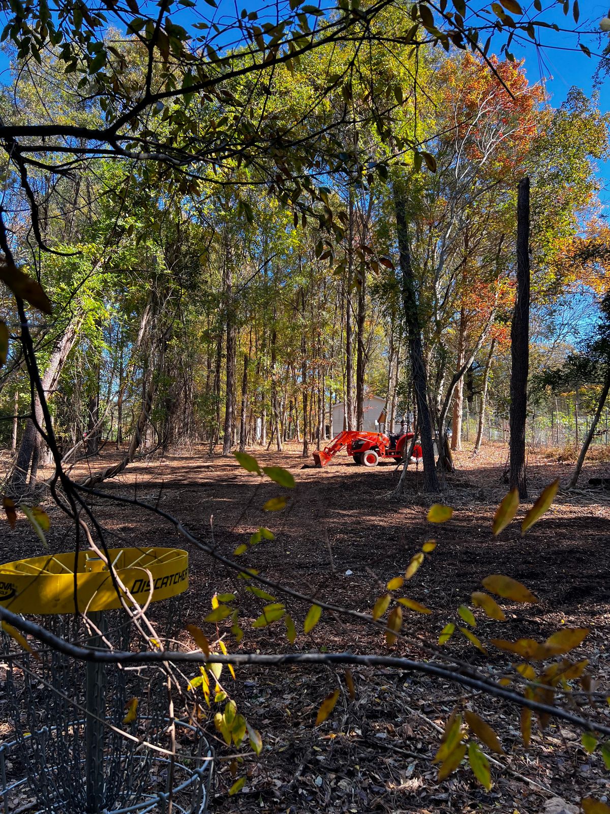 Hole 8 green towards tee