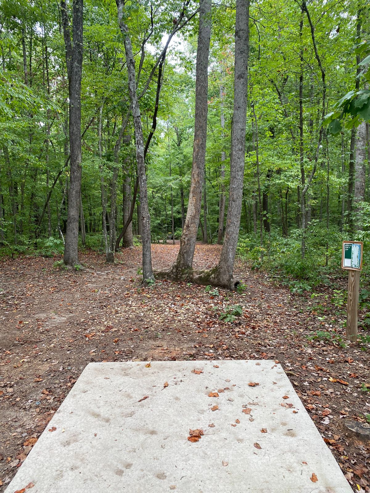 Hole 13