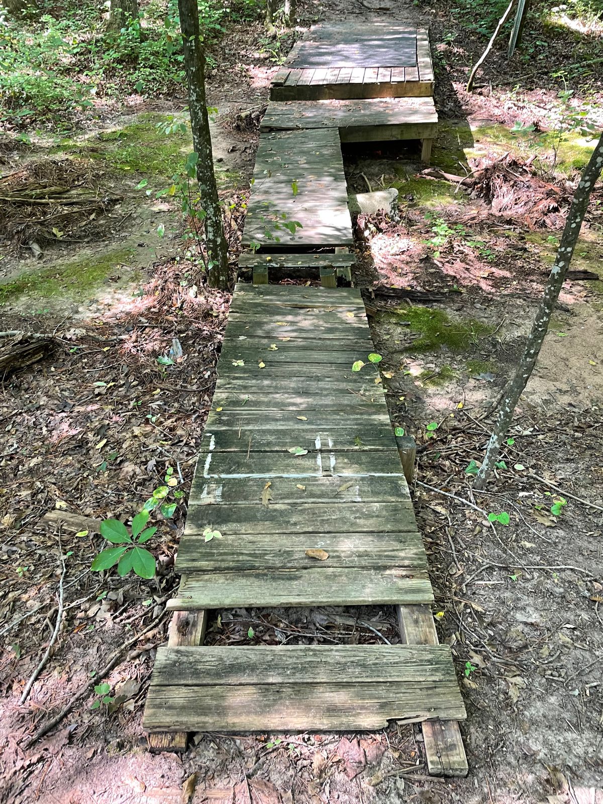 Don’t walk on this