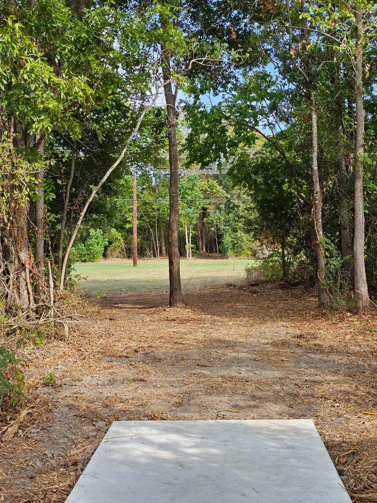 Hole 11 Tee