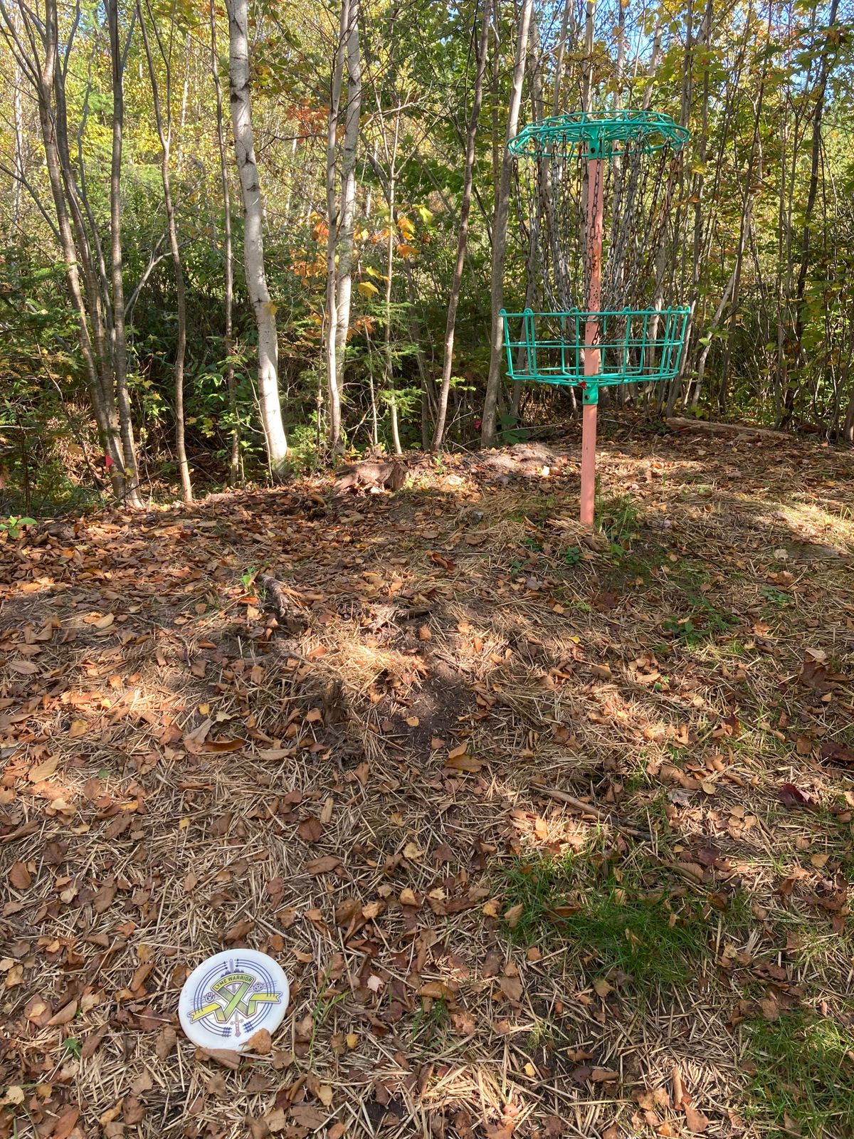 Hole 11 basket