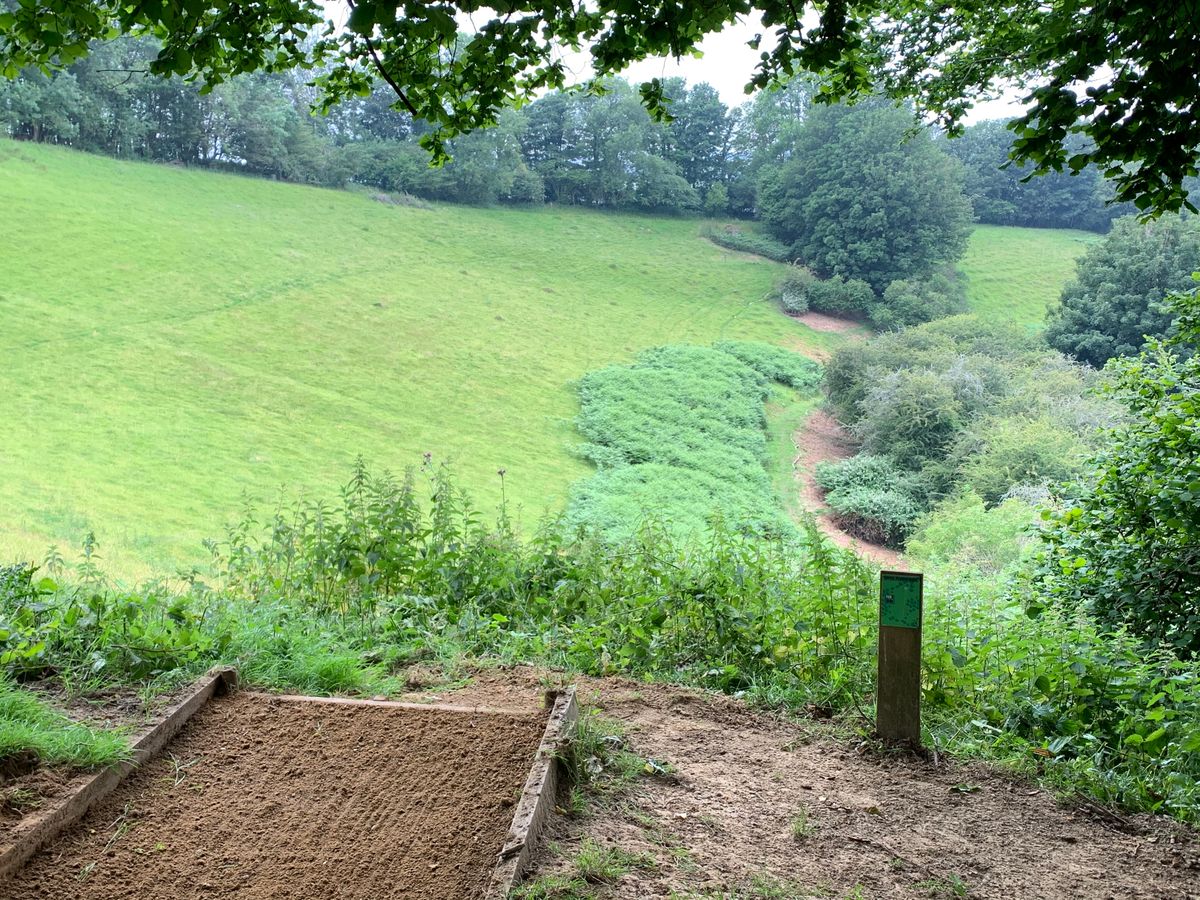 Hole 14