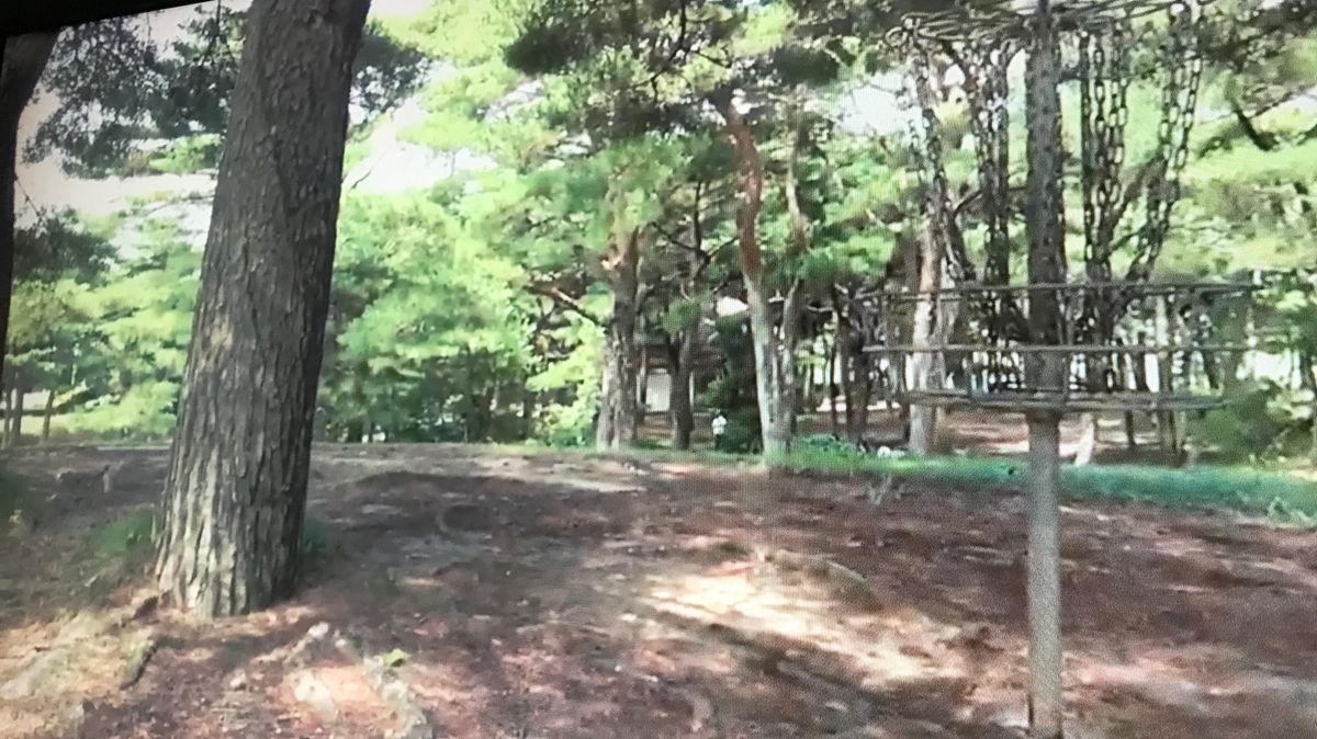 Hole 3 par 3 48m